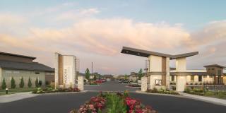 Modern Craftsman Black Cat Gallery 1