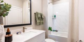 Bainbridge Cary Gallery 17
