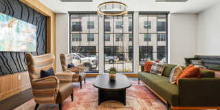 Oso Apartments Gallery 2