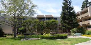 Great location near San Antonio Center shopping, convenient commute, Los Altos Schools Gallery 1