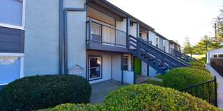 The Element Gallery 48