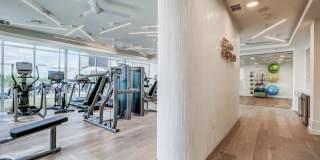 The Pearl Gallery 30