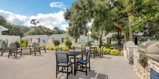 The Papillion Gallery 8