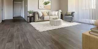 Parkway at Silverado Ranch Gallery 8