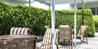 Corteen Apartments Gallery 26