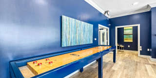 Olympus Carrington Gallery 16