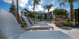 Alta Citron Gallery 94