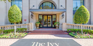 The Ivy Park Place Gallery 39