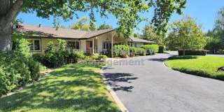 Spectacular 4 Bd/3 Ba, 2379 sf (plus separate structure ideal for office), single-family house in West Alamo on 0.63 acre lot available April 15th for Lease! Gallery 1