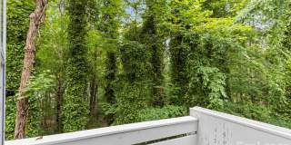 25033 Molokai Drive unit: Upper Unit 25033 Molokai Drive unit: Upper Unit Gallery 33