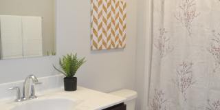 301 Cross Oak Dr Gallery 13