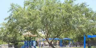 The Reserve Apartments Gallery 24