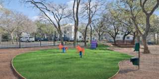 Treehouse Gallery 25