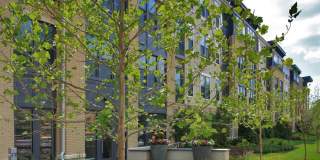 The Alcott Gallery 19