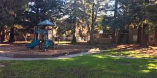 3348 Red Cedar Terrace Gallery 9