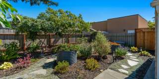 Downtown Napa 3 bed 2 bath single level home Gallery 31
