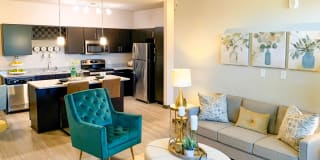 Springs at the Reserve Gallery 17