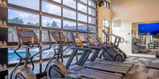 Alpine Flats Gallery 24