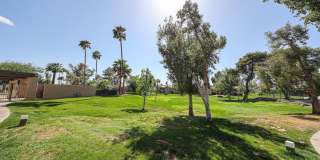 9430 E Mission Lane Gallery 36