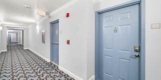 255 Evernia Street Gallery 27