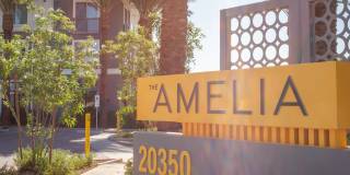The Amelia Gallery 52
