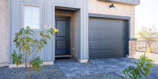 Banyan at 17 North Gallery 12