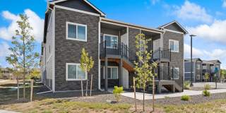 1601 Grand Harmony Boulevard - 202 1601 Grand Harmony Boulevard - 202 Gallery 1