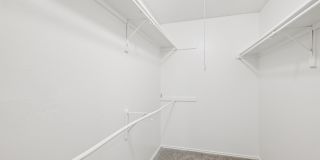 The Monet Gallery 45