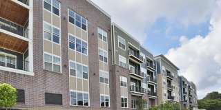 Element Oakwood Gallery 27