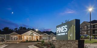 Pines at Wake Forest Gallery 49