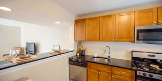 Emerald Gardens Gallery 41