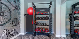 Caroline at Memorial Gallery 37