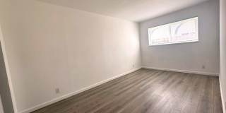 302 Dumont Ave Gallery 8