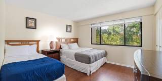 105 Deer Creek Road Gallery 7