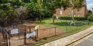 Collins Crossing Gallery 5