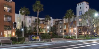 Domicilio Gallery 25