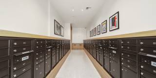 Ellis at Bel-Red Gallery 37