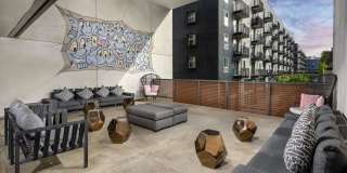 Aliso Gallery 13