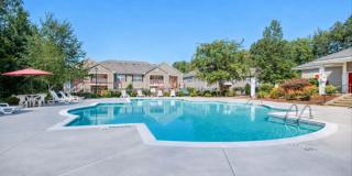 Ivy Hollow Gallery 7