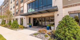 Alleia Watters Creek Gallery 6