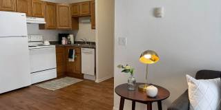 Springtree Gallery 16