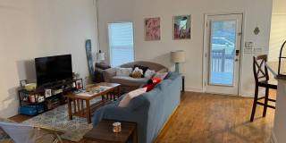 4 Bedroom Downtown Beauty! Gallery 4