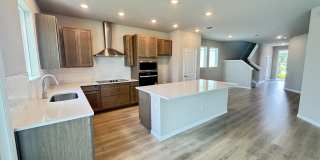 3379 Yellow Cassia Dr Gallery 6