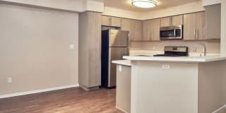 Alta Vista Gallery 2