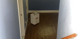 81 Upton Street Gallery 13