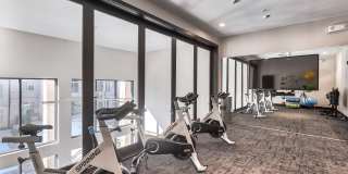 Windsor Burnet Gallery 33