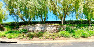 Beautiful Single-Level Custom Home with Serene Backyard Space in the Lovely Peppertree Park Community of Fallbrook! Gallery 80