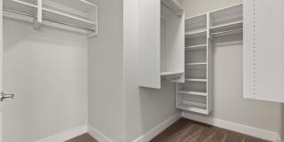 Cadence Music Factory Gallery 53