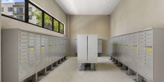 Pine Ridge Apartments Gallery 41