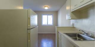 Swift at Riverdale Park Gallery 15